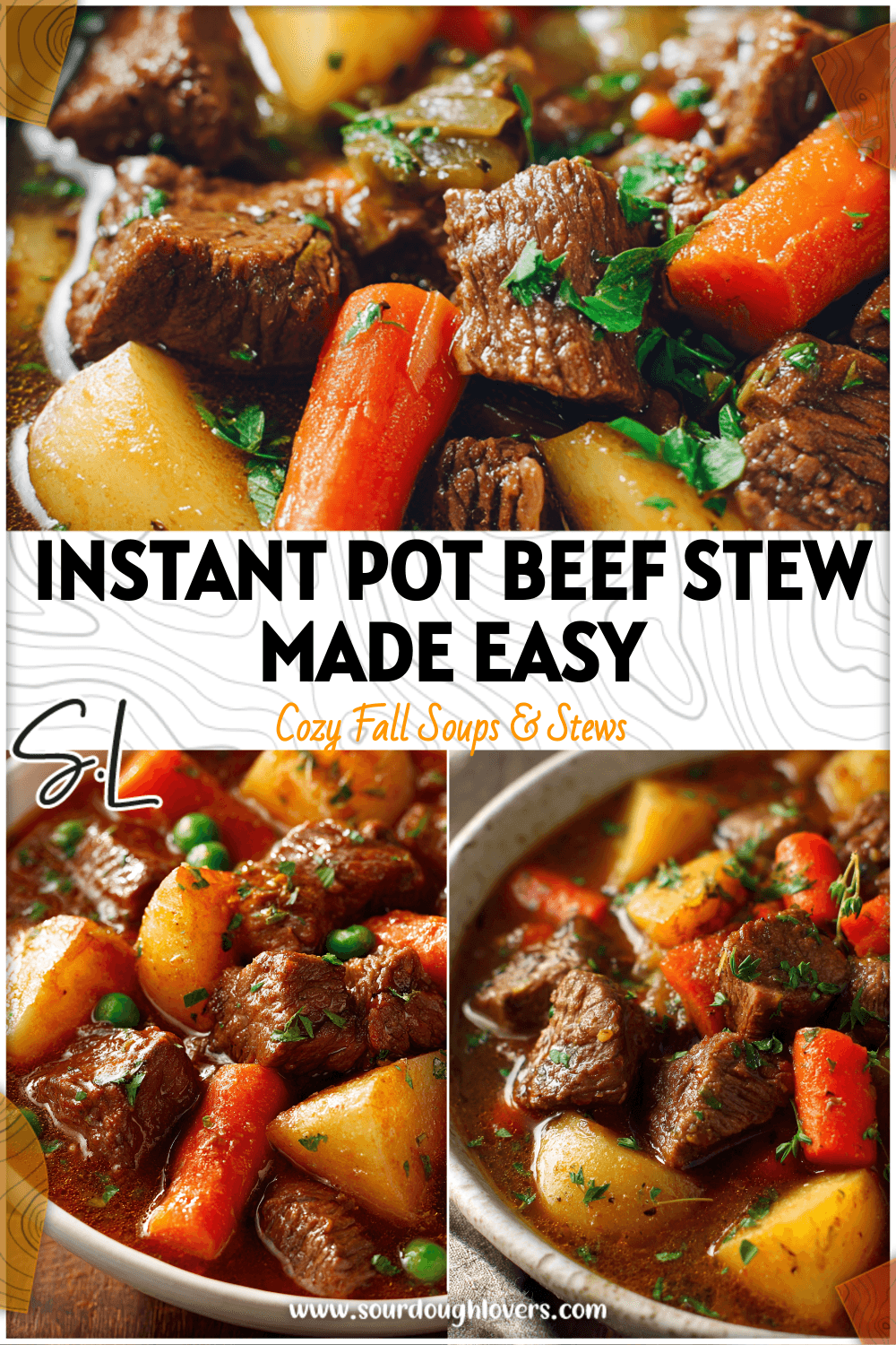 A bowl of hearty Easy Instant Pot Beef Stew with tender beef, carrots, and potatoes served hot.